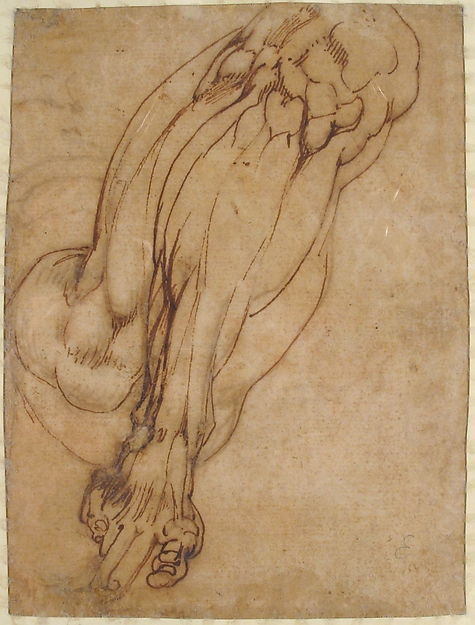 Anatomical Studies of a Leg (recto); Study of a Leg (verso)